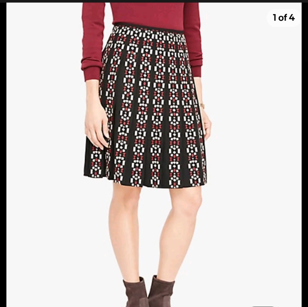 EUC Ann Taylor Embroidered Skirt